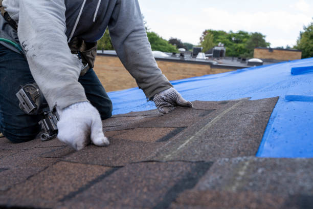 Best Shingle Roofing Installation  in Vernonia, OR